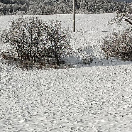 Ubytovani U Babicky Leilighet Velké Losiny Eksteriør bilde