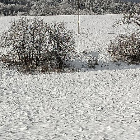 Ubytovani U Babicky Velké Losiny Eksteriør bilde